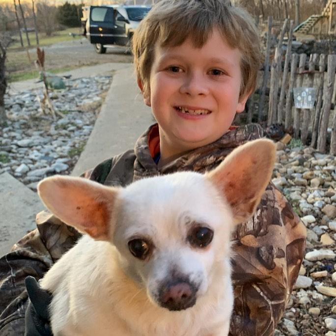 Spike the Chihuahua