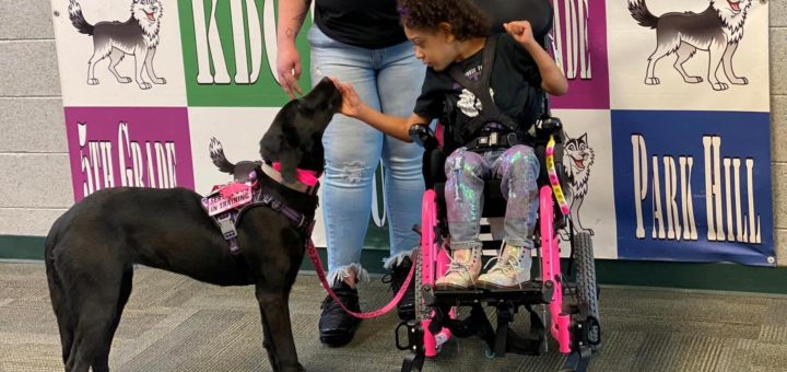 Corbynn and Remi the service dog in training to be a seizure response dog
