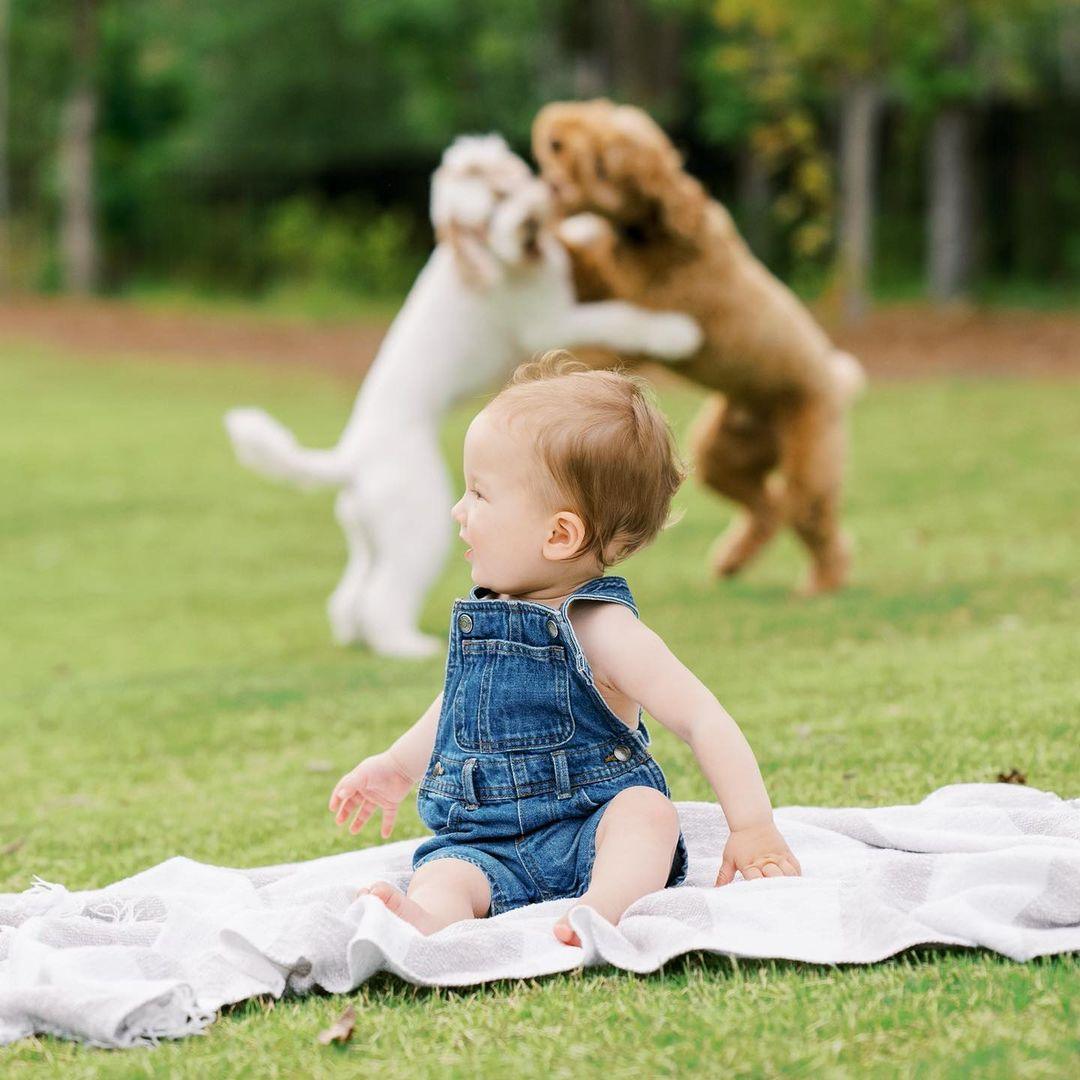 Lily, Cooper and Flynn