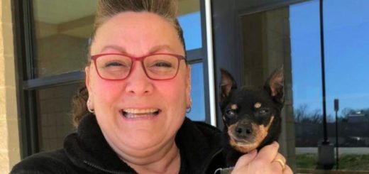 Virginia woman reunited with her lost dog, Starsky