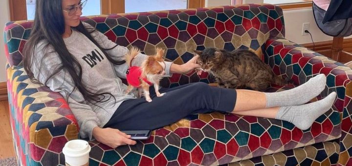 Demi Moore considers submitting her Chihuahua as world's shortest dog