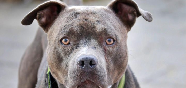 TikTok video goes viral