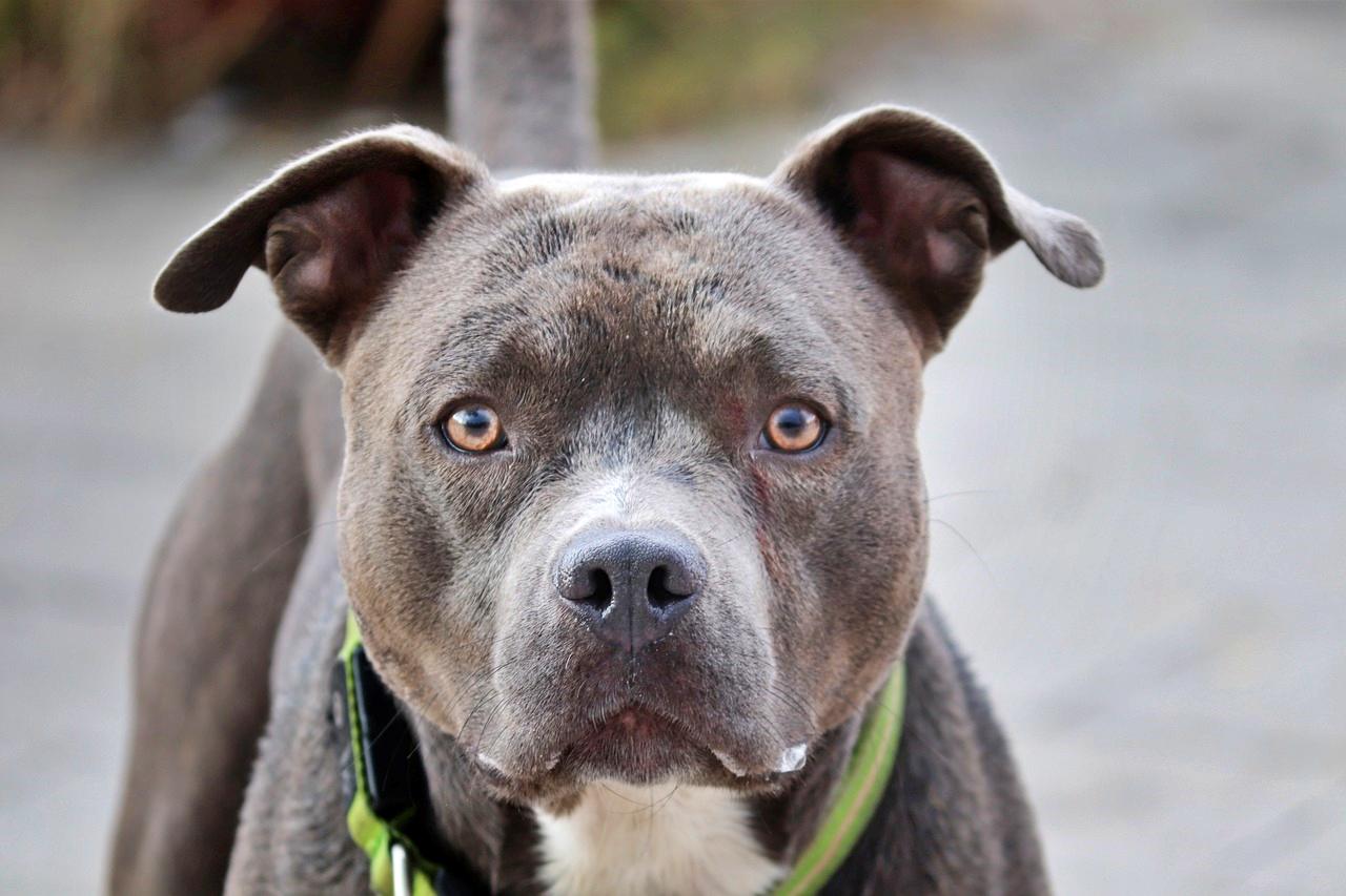 TikTok video goes viral