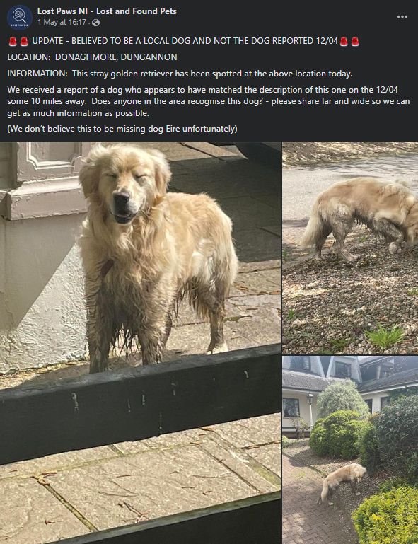 Sightings of lost Cooper