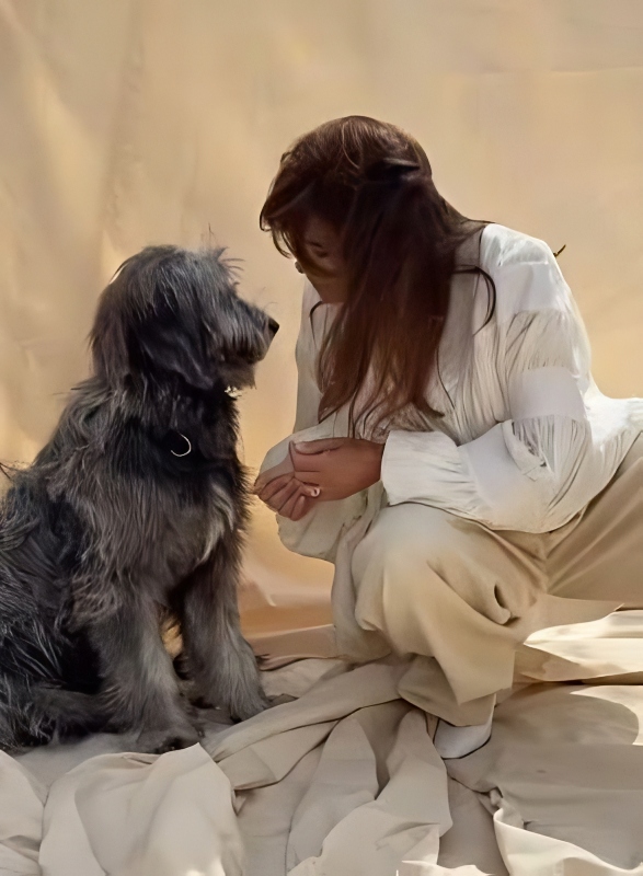 A conversation with mom - @evamendes - Instagram