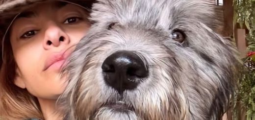 Eva Mendes takes a selfie with rescue dog Magic - Instagram