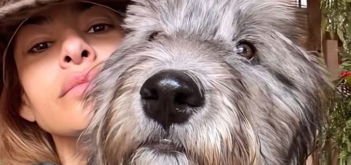 Eva Mendes takes a selfie with rescue dog Magic - Instagram