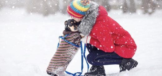 Why Winter Walks Are Good for Your Dog (And You Too!)