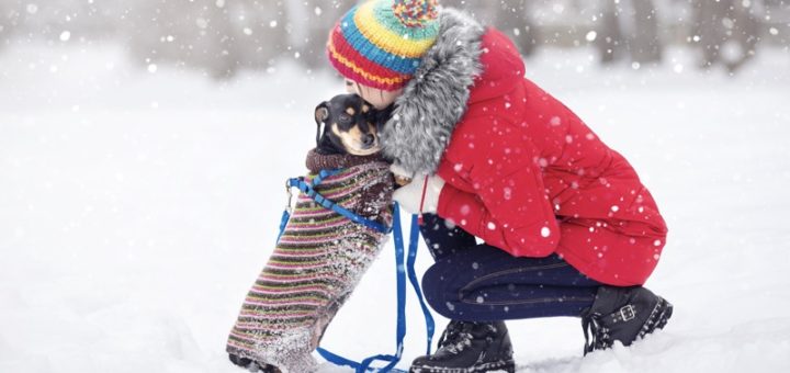 Why Winter Walks Are Good for Your Dog (And You Too!)